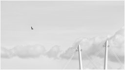 _ju50315 nb 1920